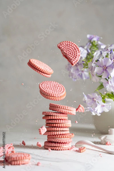 Fototapeta Round pink cookies and crumbs on white table with beautiful flower. Crispy biscuits with white cream inside. Copy space.