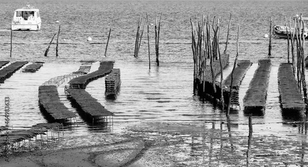 Obraz Serpent de mer