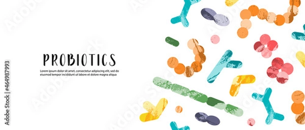 Fototapeta Probiotics. Lactic acid bacteria. Good microorganisms for gut, intestinal flora health. Microflora. Microbiome. Bifidobacterium, lactobacillus,  lactococcus, thermophilus streptococcus. Vector banner
