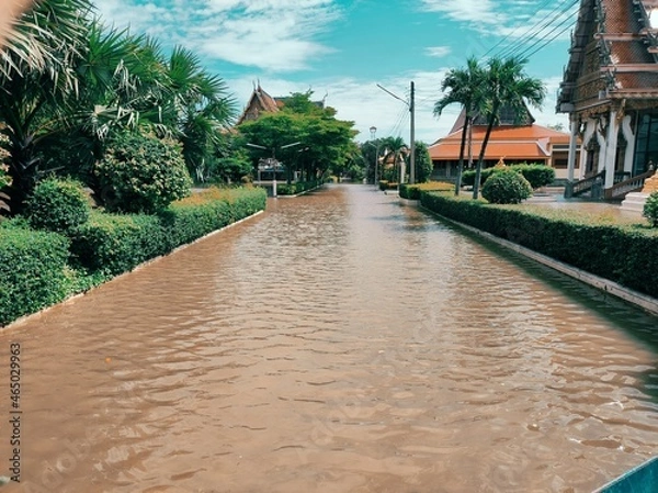 Obraz bridge over river