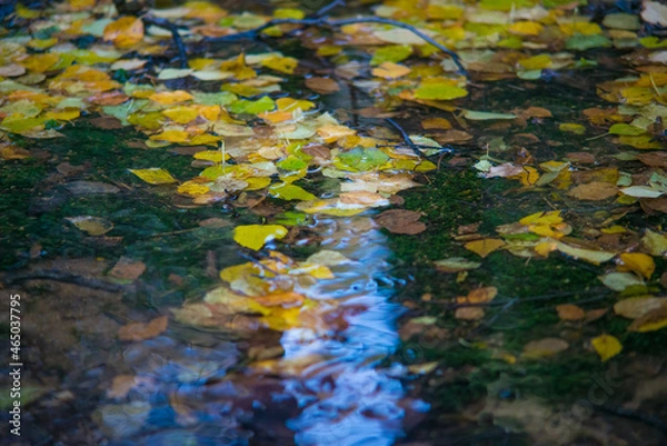 Obraz waterfall in autumn