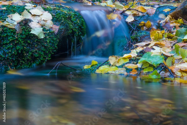Obraz waterfall in autumn forest