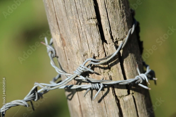 Fototapeta barbelé