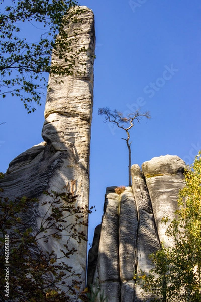 Obraz Adrspah, Skalne Miasto