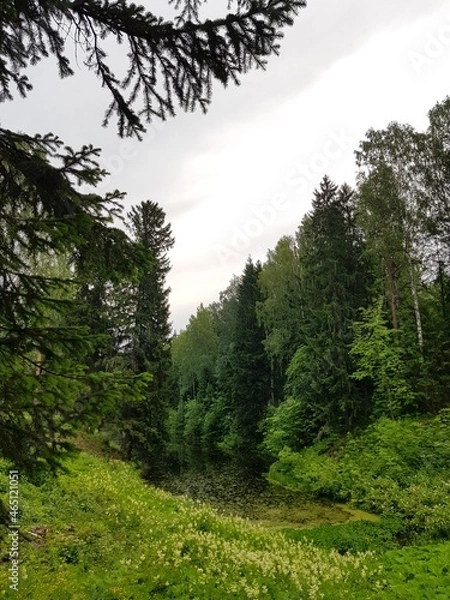 Obraz Walk in the park in Pavlovsk. Russia, St.Peterburg 