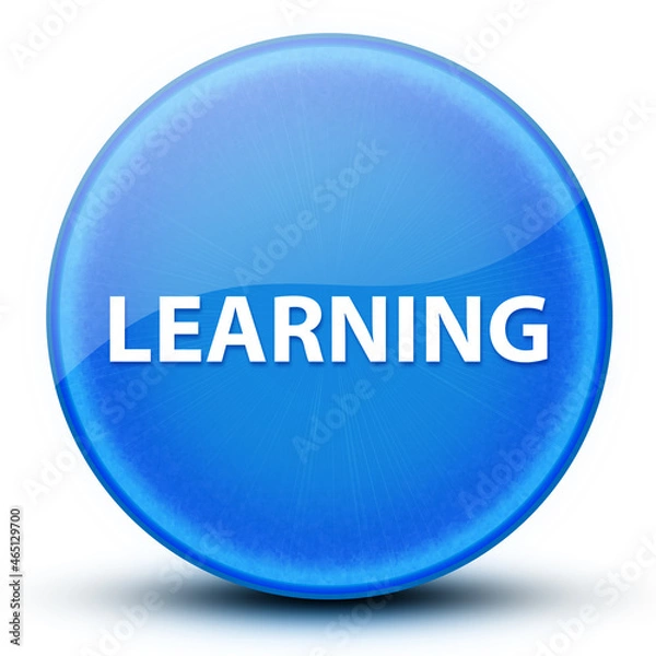Fototapeta Learning eyeball glossy elegant blue round button abstract