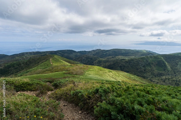 Fototapeta 礼文岳 登山 (日本 - 北海道 - 礼文島)

