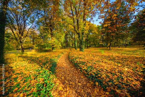 Obraz Jesienny park.