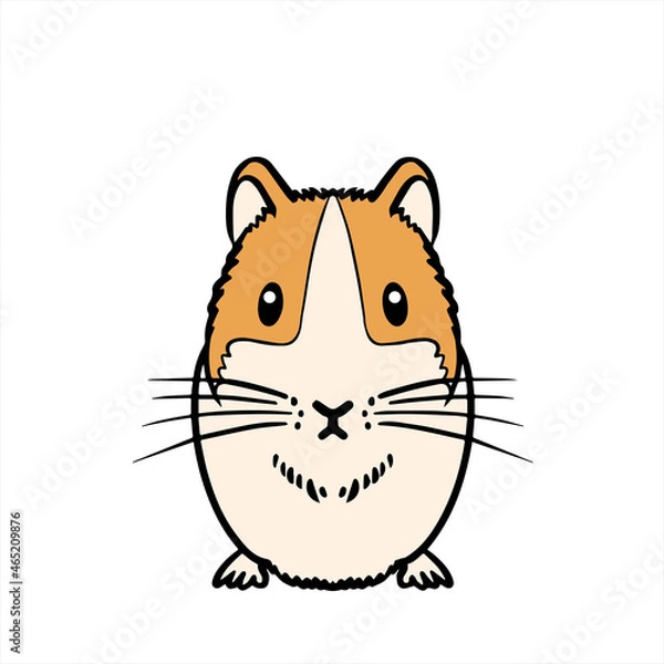 Obraz Guinea Pig モルモット