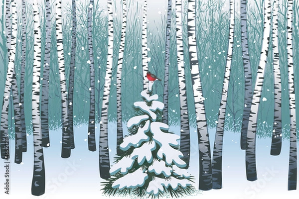 Obraz Birches in the winter forest