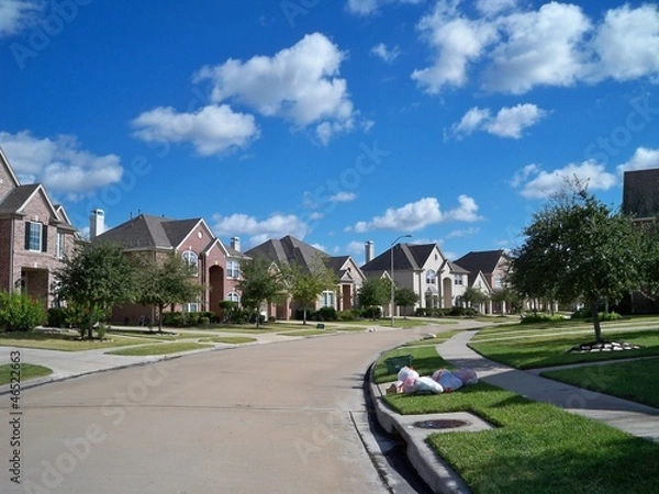 Fototapeta Dzielnica mieszkaniowa Trash Day