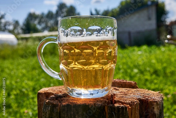 Fototapeta Mug of beer on the background of a rustic landscape