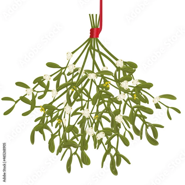 Obraz Mistletoe bunch with red ribbon.