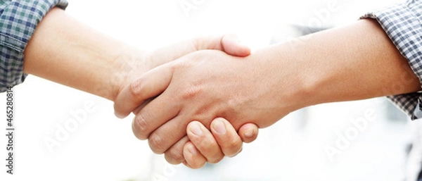 Fototapeta Closeup of a business hand shake between two colleagues Plaid shirt