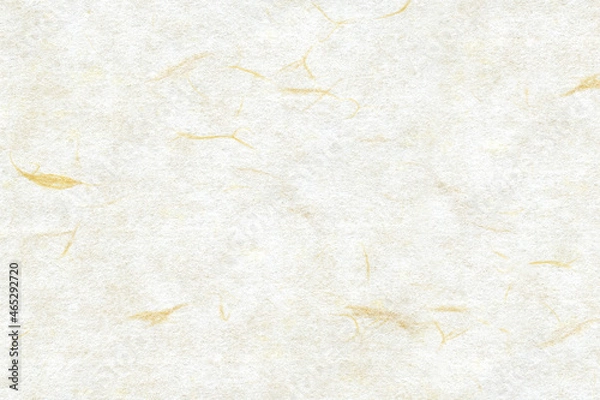 Obraz 和紙テクスチャー背景(白色) 楮の模様が美しい白い和紙