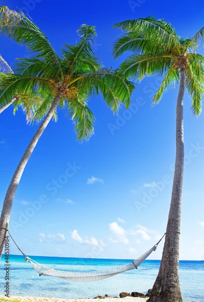 Obraz Hammock between palm trees and the sea