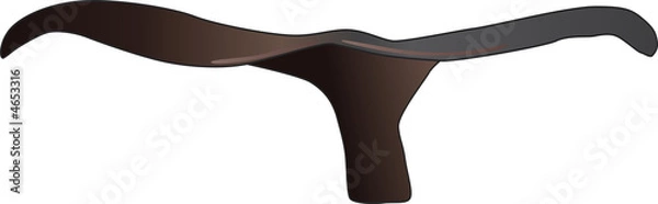 Fototapeta Queue de baleine