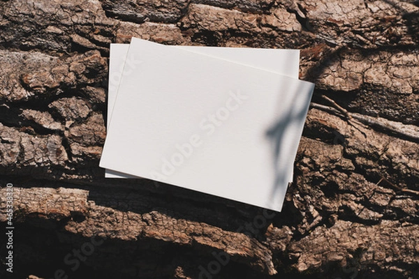 Fototapeta White cards in the autumn forest, near leaves and grass