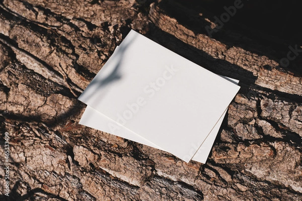 Fototapeta White cards in the autumn forest, near leaves and grass