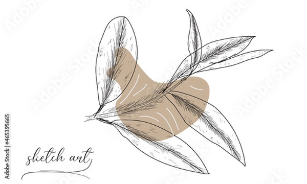 Obraz Leaf sketch art vector illustration on white background. 