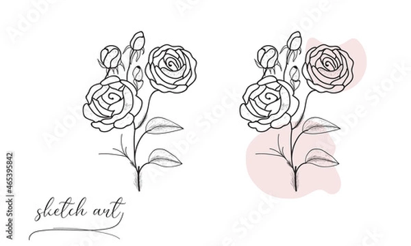 Obraz Hand drawing and sketch rose illustration. 