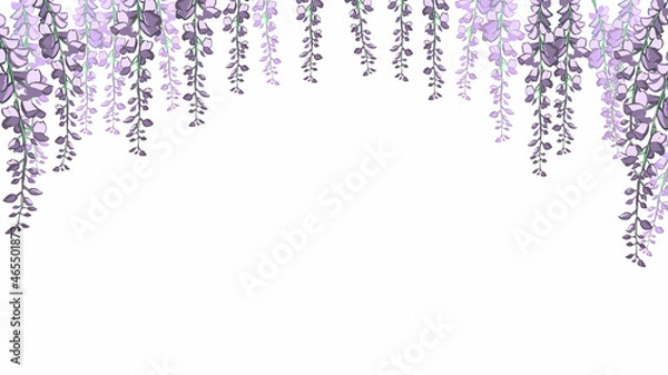 Obraz たくさんの藤の花　葉なし