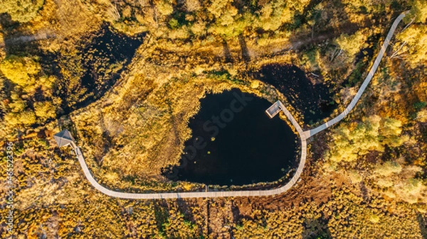 Fototapeta Peat bog near Pernink village in Krusne hory,Ore mountains,Czech Republic.Protected nature reserve.Colorful aerial landscape.Top view drone shot of fresh fall nature.Bog wetlands.Shallow basin