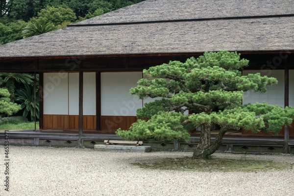 Obraz 日本庭園02