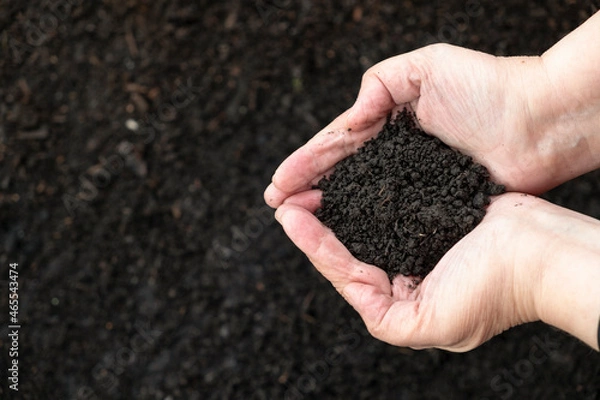 Fototapeta Close up of a handful of soil in hands on a dark background for agriculture