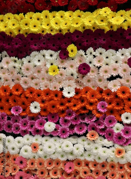 Fototapeta colorful texture