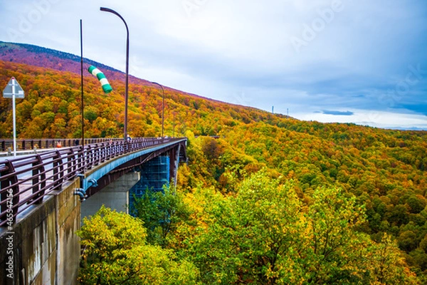 Obraz 青森県　城ヶ倉大橋の紅葉