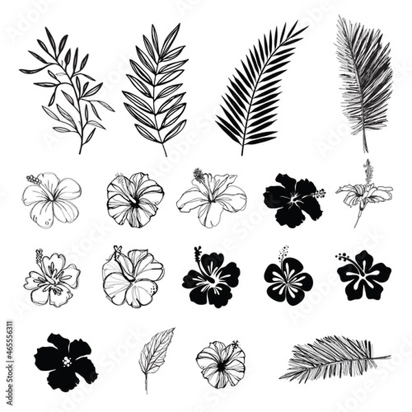 Obraz Hibiscus flowers and palm tree leaf