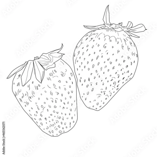 Fototapeta Strawberry