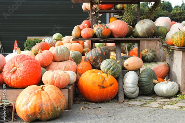 Obraz Kürbis Auslage