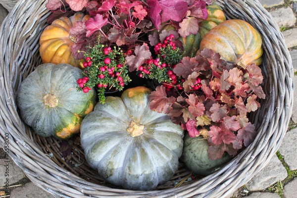 Obraz Herbst/Winter Dekoration