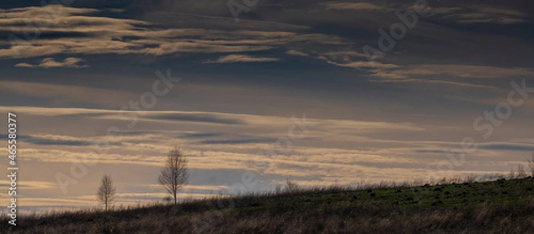 Obraz sunset in the field