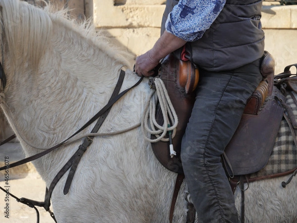 Obraz Fête villageoise