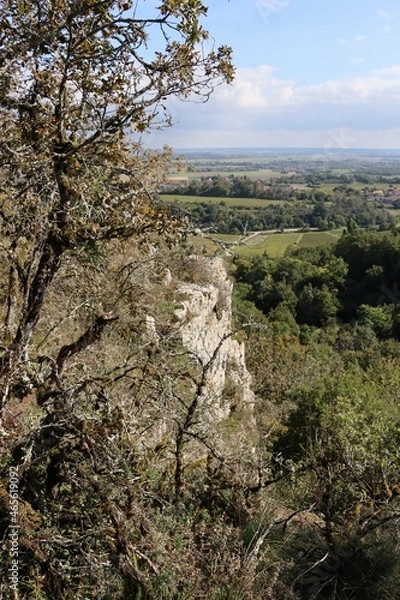 Obraz tree in the mountains