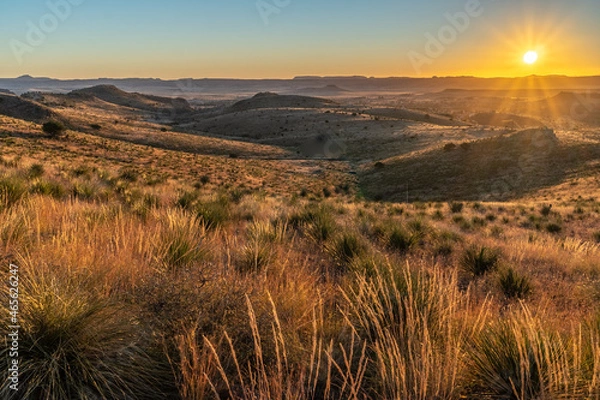 Fototapeta A desert scene with yucca cactus, wild grass, hills and mountain in the distance with clear sky and sun rising, Davis Mountains State Park, Texas