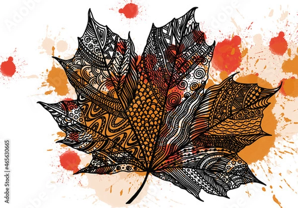 Fototapeta maple leaf sketch with black lines drawing, watercolor drops , colorful leaf on a white background, black and white, red, orange