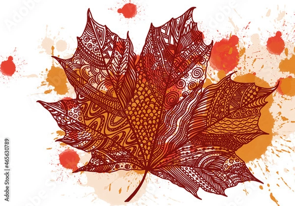 Fototapeta maple leaf sketch with black lines drawing, watercolor drops , colorful leaf on a white background, red and white, red, orange