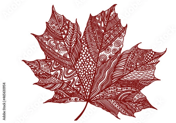 Fototapeta maple leaf sketch with red lines drawing on a white background