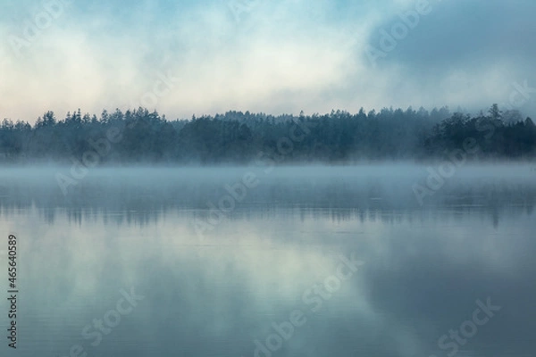 Obraz mystischer Herbstnebel am See - Weiher - Fantasy