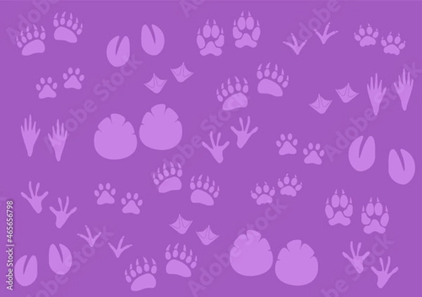 Fototapeta Vector background, tracks of various animals in purple tones