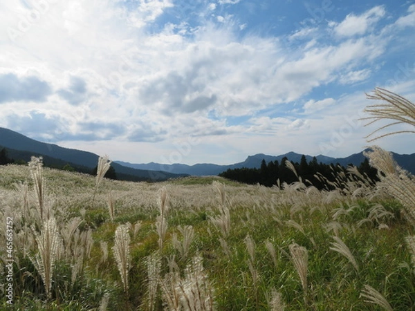 Fototapeta 曾爾高原