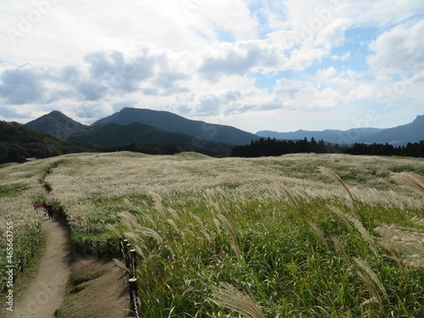 Fototapeta 曾爾高原