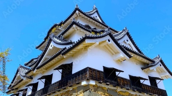 Fototapeta 春の近江・桜の季節　国宝・彦根城の天守閣