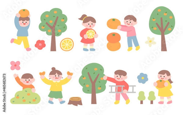 Fototapeta Cute children are having fun harvesting tangerines from tangerine trees. flat design style vector illustration.