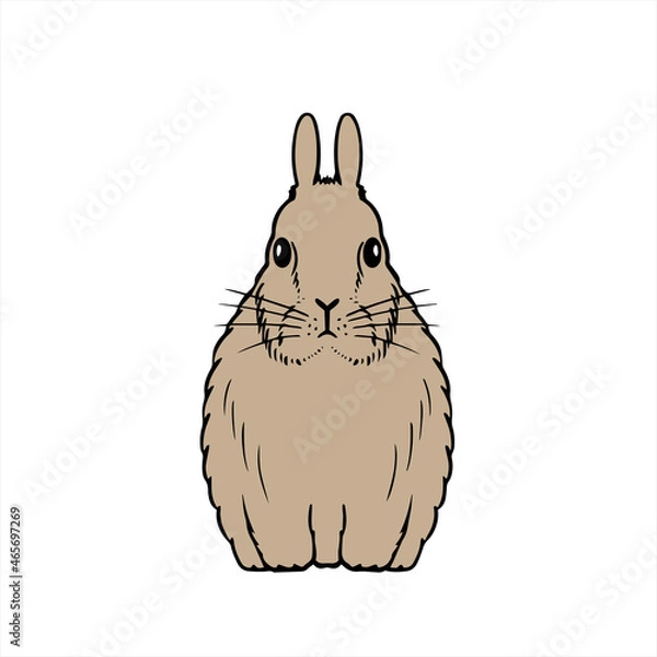 Fototapeta Jersey Willie Rabbit うさぎ
