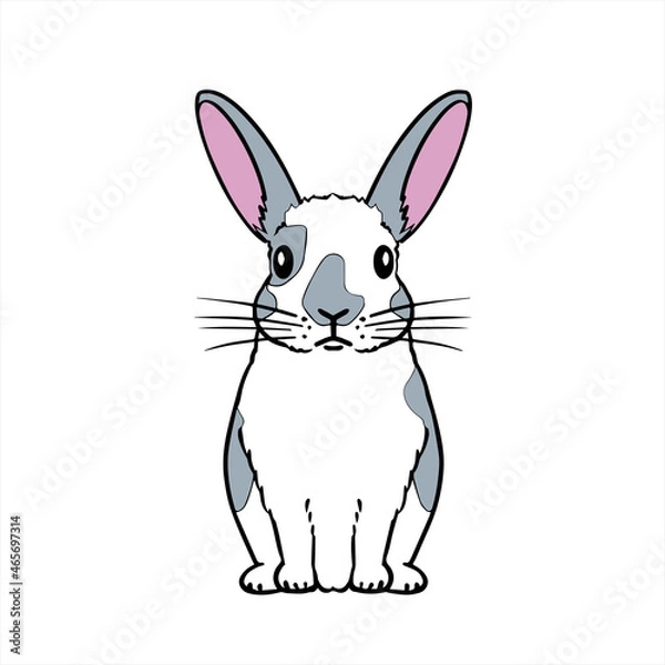 Fototapeta Mini Rabbit 　ミニラビット